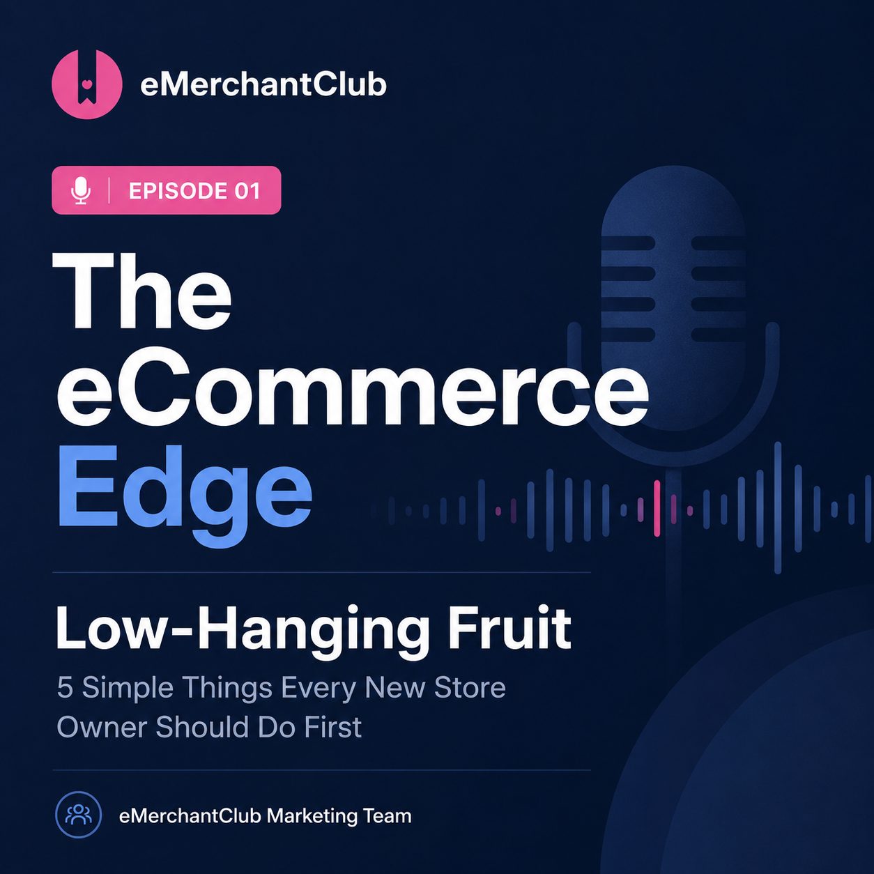 The eCommerce Edge Episode 1: Low-Hanging Fruit
